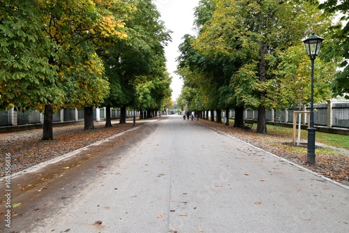 Canvas Print Peaceful Tree-Lined Avenue in a Public Park in Vienna, Austria, a Beautiful Stra