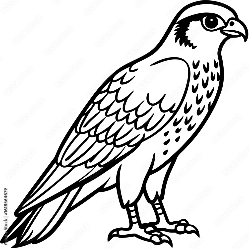 Obraz premium Vector art of a majestic falcon stands tall, its sharp gaze piercing through the air in this vector illustration