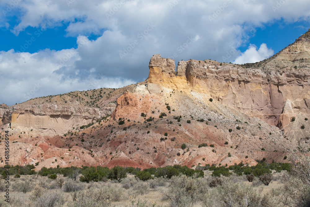 Fototapeta premium New Mexican Landscape