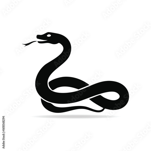 black and white snake