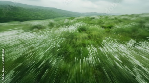 Green field aerial view