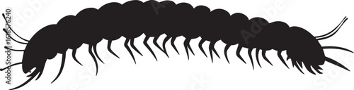 Centipede Running Body extended, legs rapidly moving in a fast, straight line. full length silhouette black vector illustration
