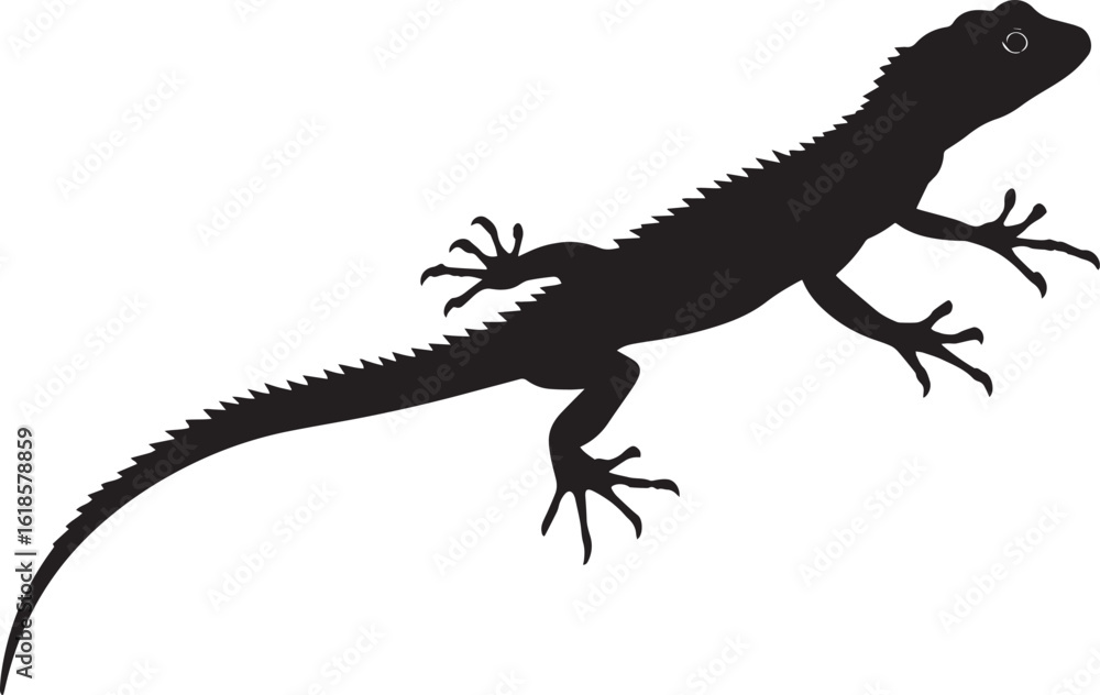 Naklejka premium Lizard stalking head extended forward, body low to the ground, tail outstretched, and eyes intently focused in a full-length silhouette.