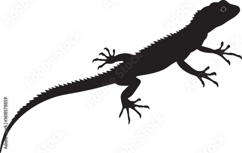 Lizard stalking head extended forward, body low to the ground, tail outstretched, and eyes intently focused in a full-length silhouette.
