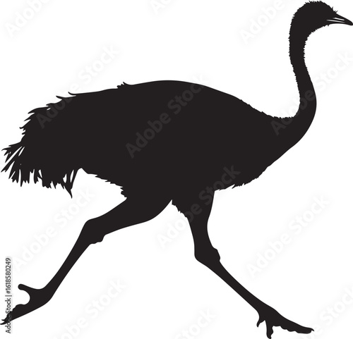 Ostrich Running Legs stretched mid-stride wings slightly open body leaning forward. full length silhouette black vector illustration