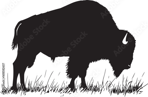 Bison Grazing Head down, body slightly bent, grazing on grass or plants. full length silhouette black vector illustration
