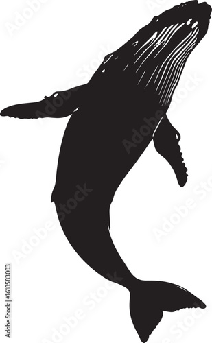 Whale Feeding Mouth wide open, head submerged, body angled downward. full length silhouette black vector illustration