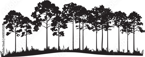 Forest Canopy Silhouette A minimalist black vector illustration featuring a series of rainforest trees, capturing the essence of a tropical environment.