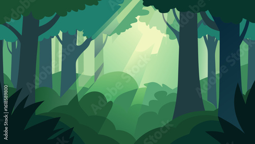Experience the soft diffused light under a dense forest canopy creating a serene natural atmosphere