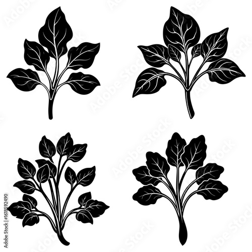Illustration of four black and white leafy plant sprigs with detailed leaf vein patterns in each sprig