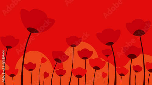 Experience the deep intense red of a field of poppies in bloom