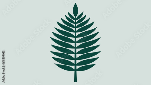 Exploring the Intricate Details of a Single Perfectly Symmetrical Leaf