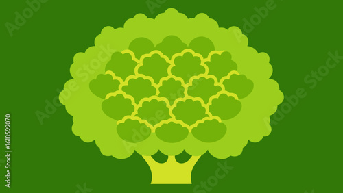Fascinating Intricate Fractal Patterns of a Romanesco Broccoli