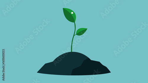 Admire the Quiet Beauty of a Single Resilient Plant Growing