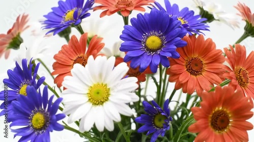 Vibrant bouquet of colorful daisies