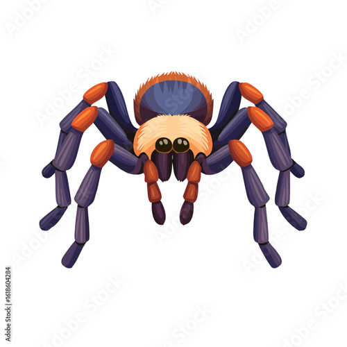 Tarantula Spider Isometric Icon