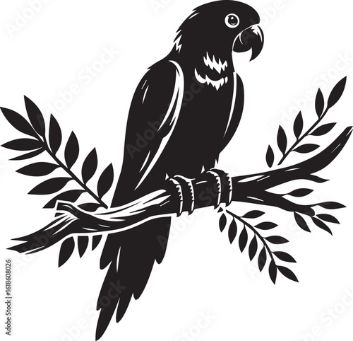 Bird Parrot Logo Vector Black Silhouette Illustration