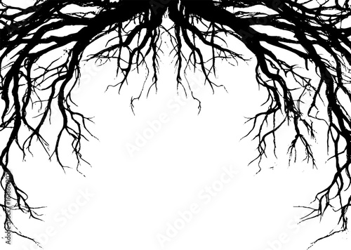 Abstract organic frame with intricate root lines for elegant design concepts