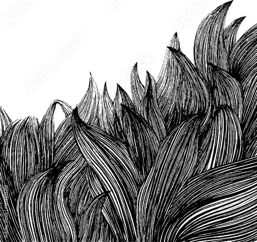 Abstract black and white dense bushy plant texture design for wall art