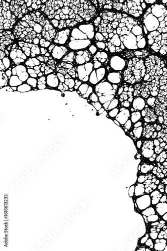 Abstract organic texture of disrupted membranes for creative design projects