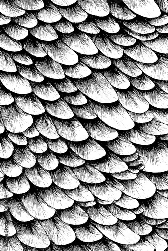 Wallpaper Mural Intricate abstract texture of repeating fish scales for creative design Torontodigital.ca