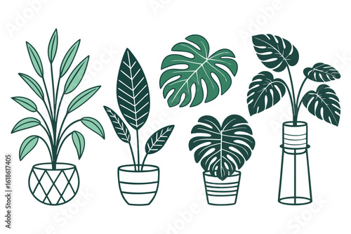 Potted house plants art featuring monstera deliciosa and tropical foliage on white background