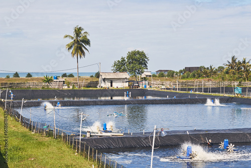 Obraz na plátně outdoor shrimp ponds in the Pangandaran area of West Java