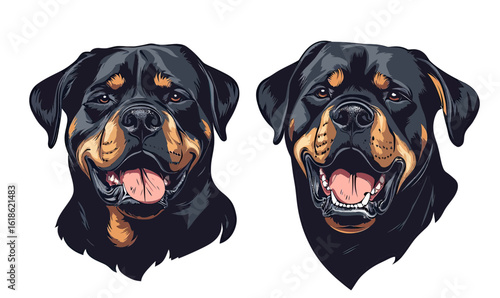 Detailed vector illustration of two happy Rottweiler dog heads showing tongues and teeth with black and tan fur on white background for pet or breed design