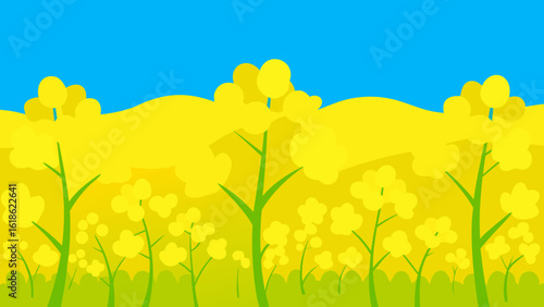 Bright Yellow Rapeseed Flowers Field Nature Landscape