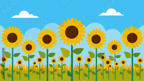 Sunflowers Field Facing Away From Viewer Nature Scene
