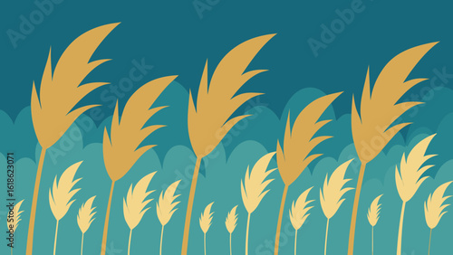 Tall Elegant Grasses with Feathery Plumes Field Nature