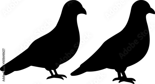 Black pigeon set, Set of pigeon, pigeon collection, Vector of pigeon, pigeon animal silhouette, black pigeon animal isolated on white background