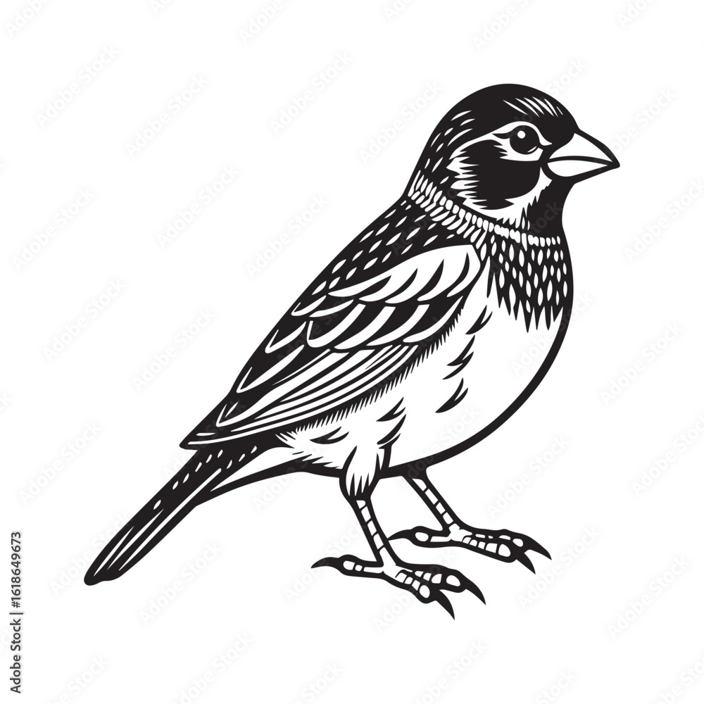 Fototapeta premium Finch Bird silhouette vector illustration logo design sticker 