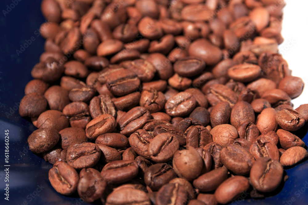 Green, ripe red and roasted fruits of Colombian coffee cultivation Green, ripe red and roasted fruits of Colombian coffee cultivation