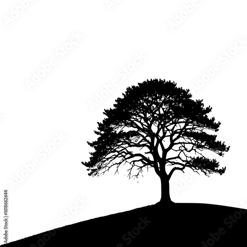 silhouette of a lone tree on a hill