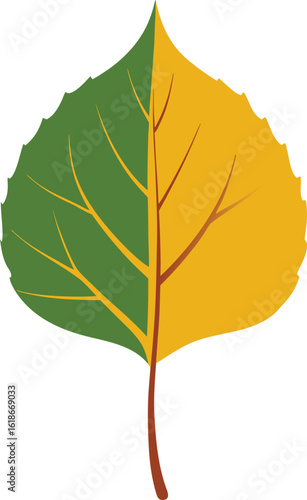 Vibrant aspen leaf vector illustration with detailed color spectrum