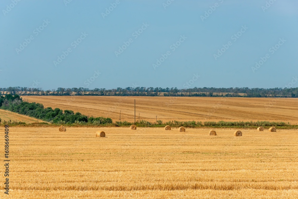 Fototapeta premium magnificent summer landscape: panorama of gently rolling fields of southern Russia after wheat harvest with cylinders of golden straw on a sunny day