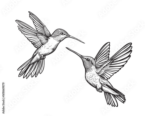 sapphire hummingbird, colorful sketch style