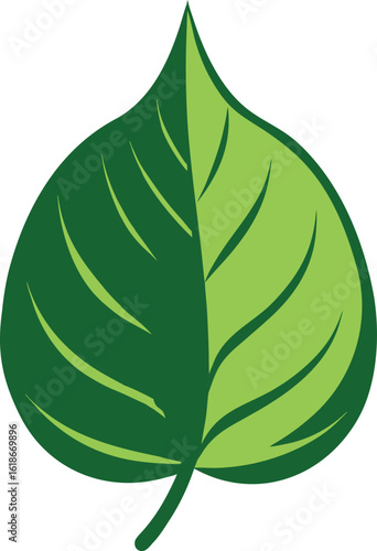Vibrant betel leaf botanical illustration