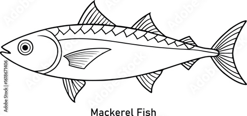 Mackerel fish line art illustration perfect for sea life coloring books and marine educational designs