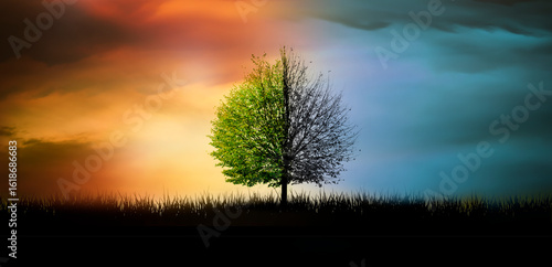 Licht und Schatten in einer imaginären Landschaft mit Baum