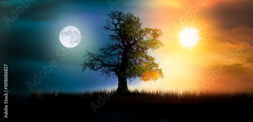 Licht und Schatten in einer imaginären Landschaft mit Baum