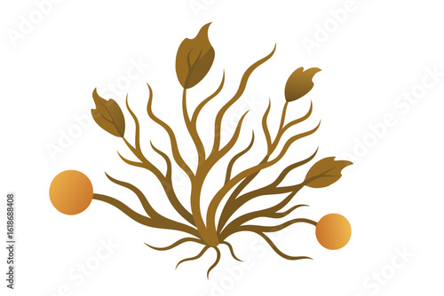 Seaweed Vector of Sargassum with Round Bladders and Leaves