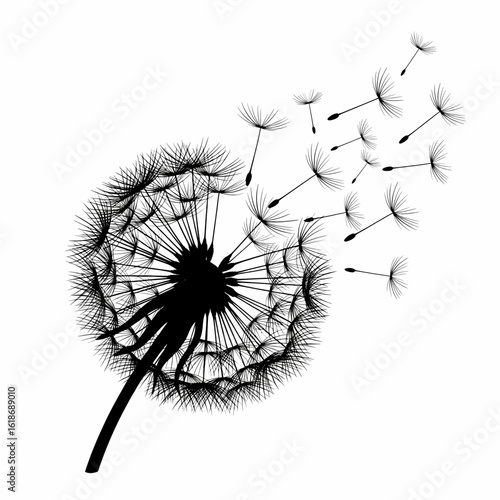 Dandelion Silhouette with Seeds Blowing Away