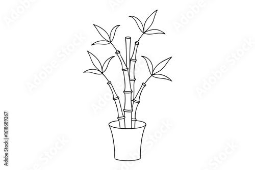 Lucky Bamboo Line Art Vector for Chinese New Year Theme
