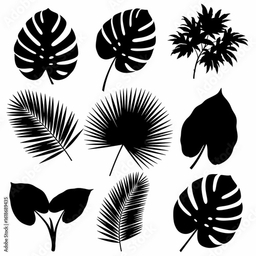 A versatile collection of various tropical leaf silhouettes, including monstera and palm