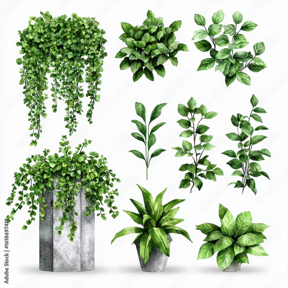 Naklejka premium A collection of watercolor illustrations featu various creeper plants in pots and hanging arrangements isolated on a transparent background perfect for design projects and