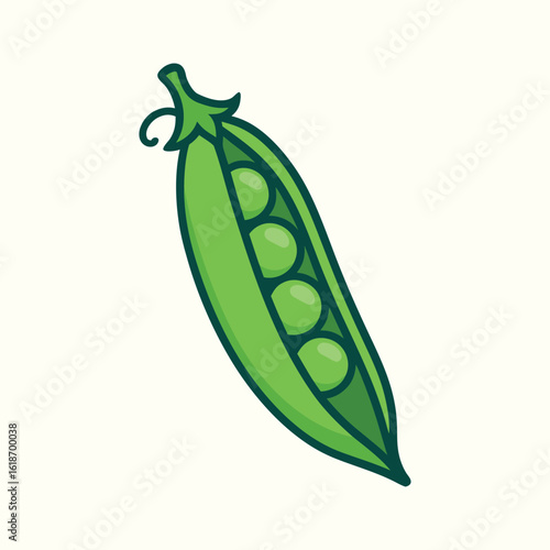Green Pea Pod  Vector Illustration, vegetable Vector 