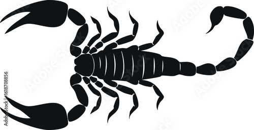 Scorpion silhouette illustration