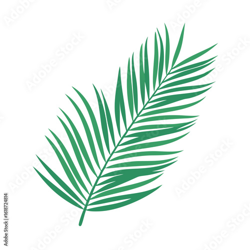 green leaf isolated on white